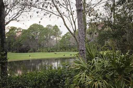 View to the Westchase Golf Course